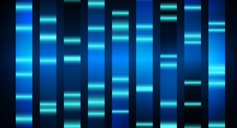 الکتروفورز چیست