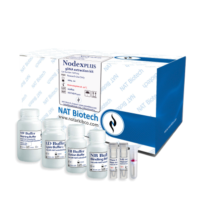 Nodex Plus Transparent